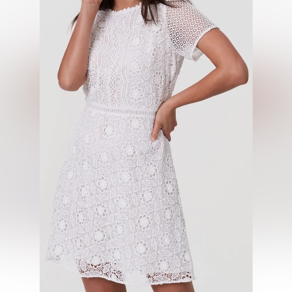 Ann Taylor LOFT Lace Dress